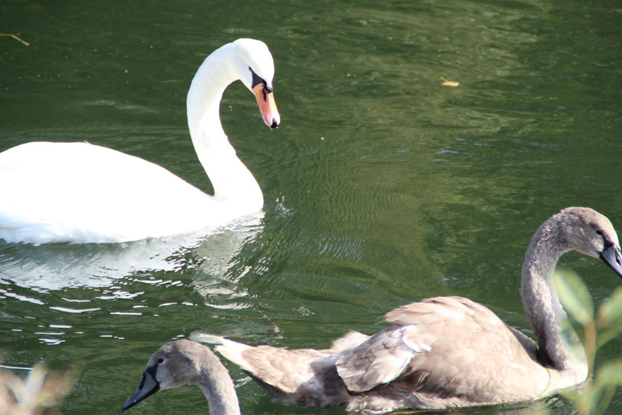 Sealov Hebergements Insolites- Linge, Menage Et Velos Inclus Eaucourt-sur-Somme Pokój zdjęcie